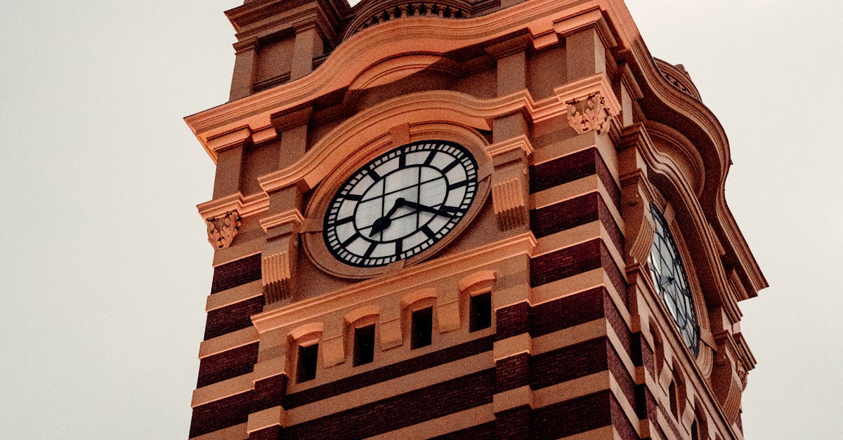 A Guide to Environmentally Responsible Junk Removal Services