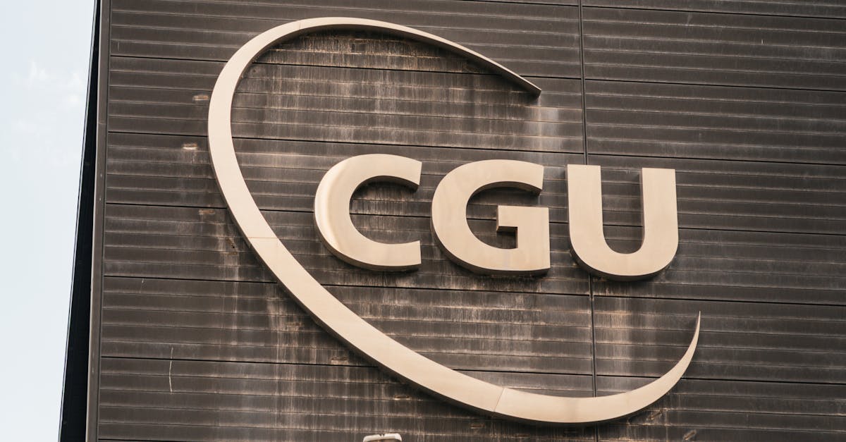 Best Practices for Sorting Household Waste for Clearance