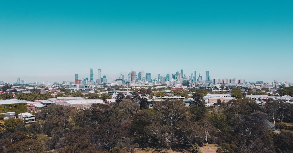 Celebrating Success: Community Clean-Up Stories from Melbourne