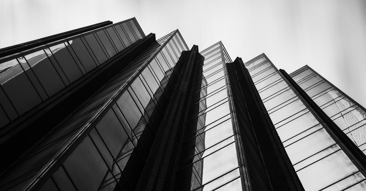 Common Garage Items to Get Rid Of During a Cleanout