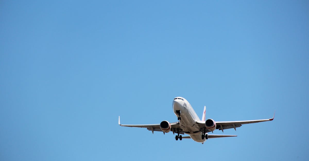 How to Launch an Effective Community Clean-Up Campaign