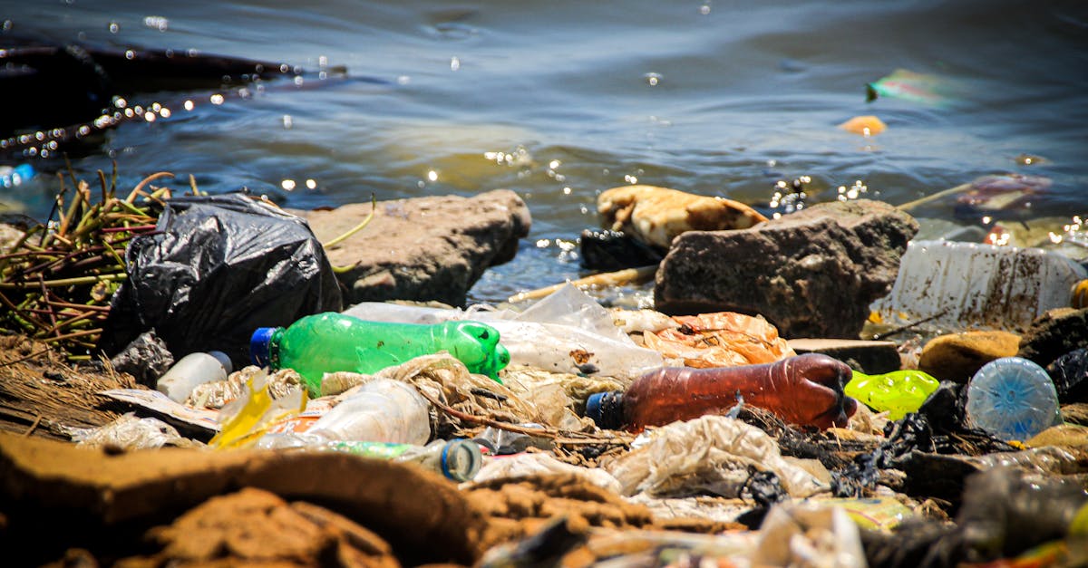 Innovative Approaches to Warehouse Waste Management