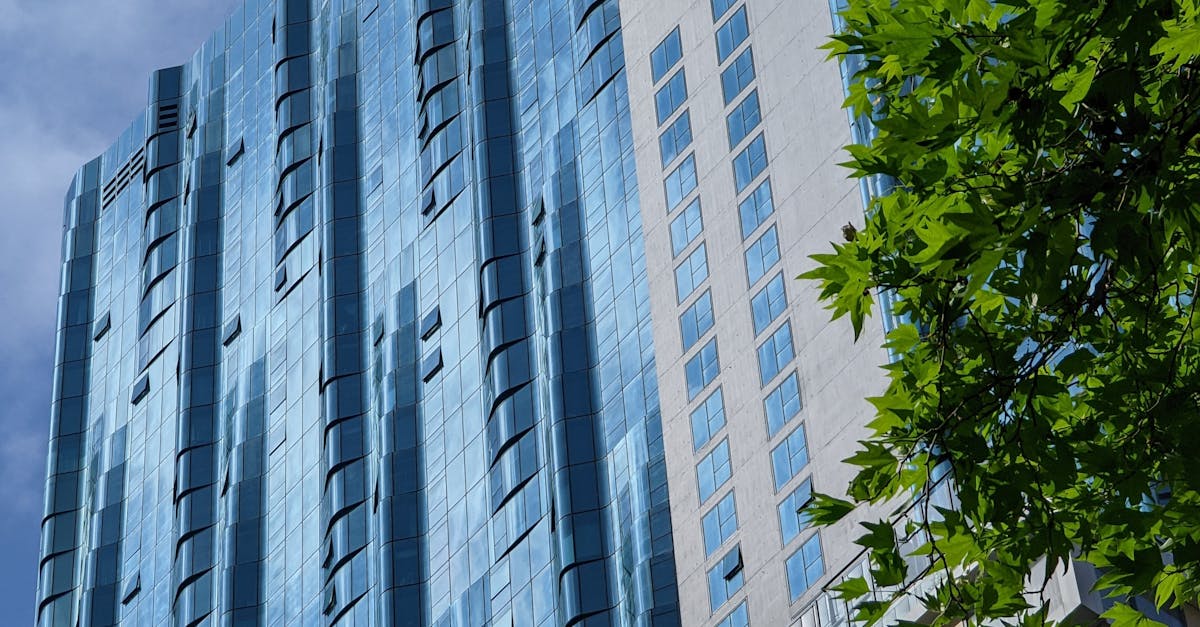 The Importance of Timely Junk Removal on Construction Projects