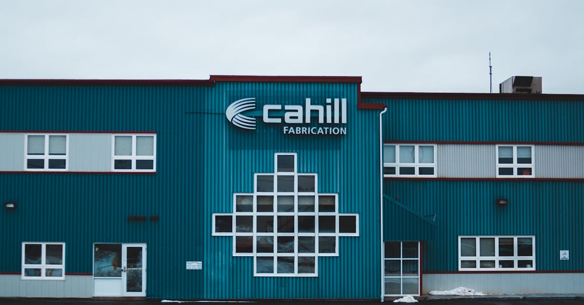 The Role of Technology in Modern Recycling Programmes